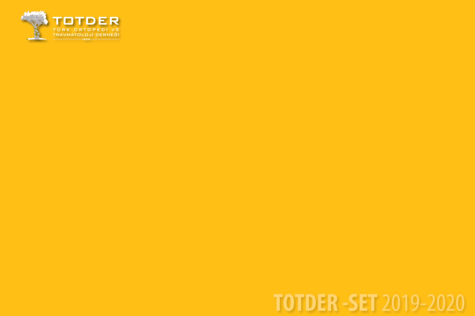 Totder-Set Toplantıları